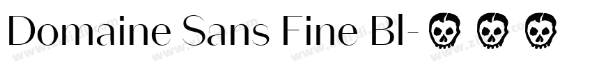 Domaine Sans Fine Bl字体转换